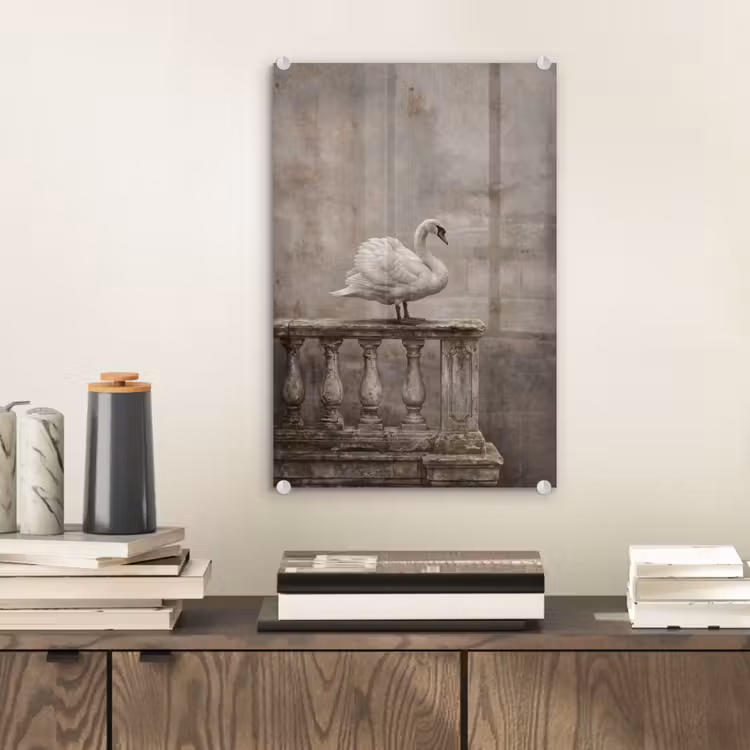 Glas schilderij - Zwaan - Elegant - Dieren - Wit — 2