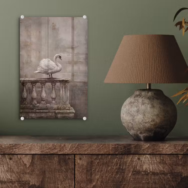 Glas schilderij - Zwaan - Elegant - Dieren - Wit — 4
