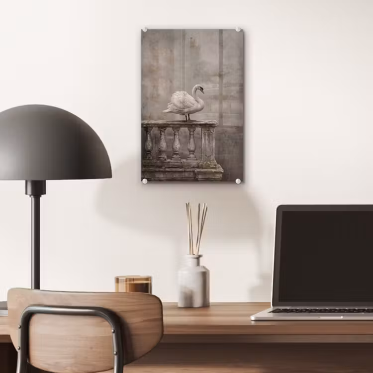 Glas schilderij - Zwaan - Elegant - Dieren - Wit — 7