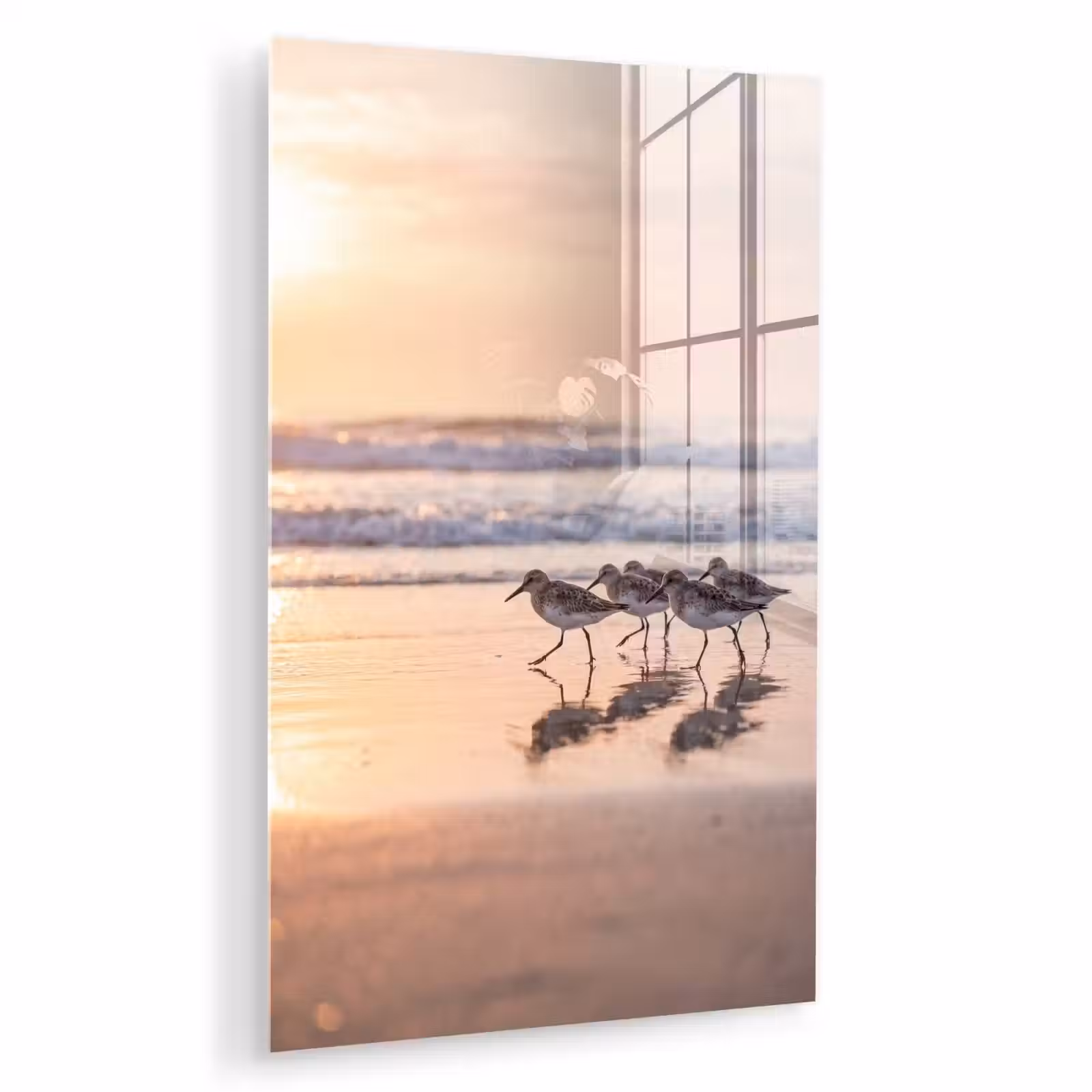 Glas schilderij - Zee - Vogels - Strand — 1