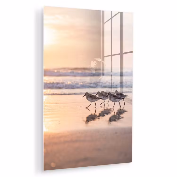 Glas schilderij - Zee - Vogels - Strand — 1