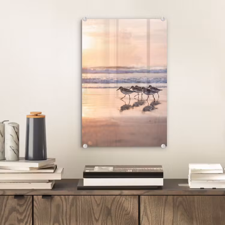 Glas schilderij - Zee - Vogels - Strand — 2