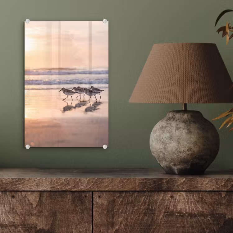 Glas schilderij - Zee - Vogels - Strand — 4