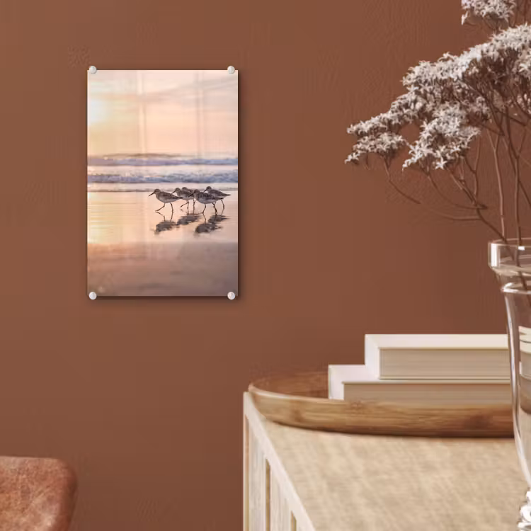 Glas schilderij - Zee - Vogels - Strand — 6