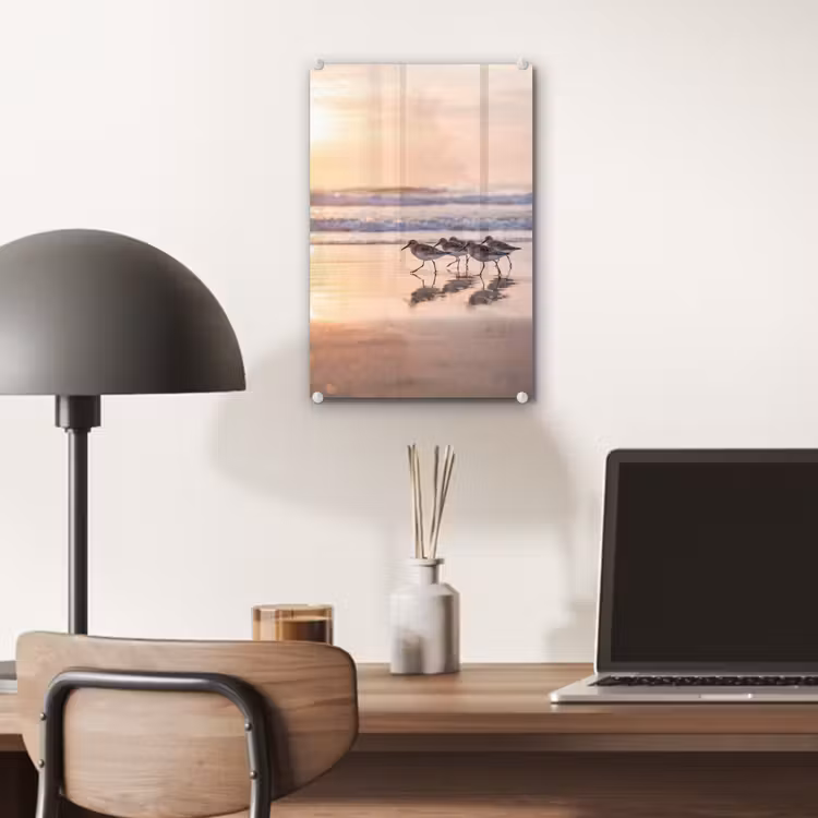 Glas schilderij - Zee - Vogels - Strand — 7