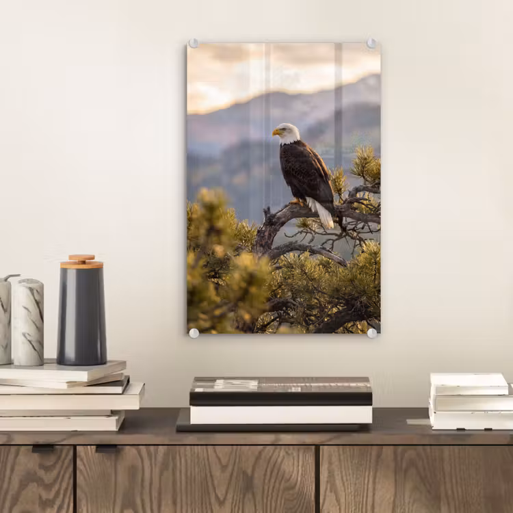 Glas schilderij - Zeearend - Boom - Bergen - Groen — 2