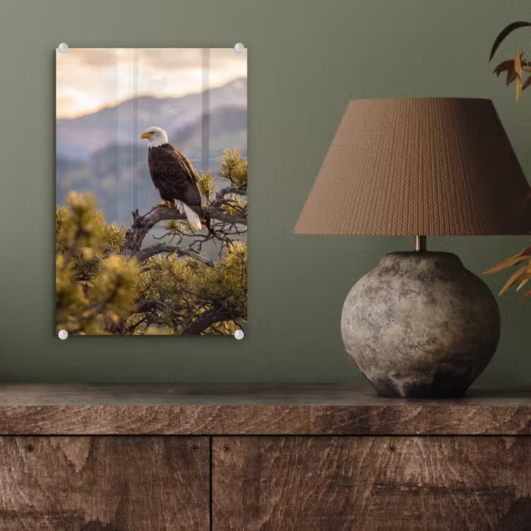 Glas schilderij - Zeearend - Boom - Bergen - Groen — 4