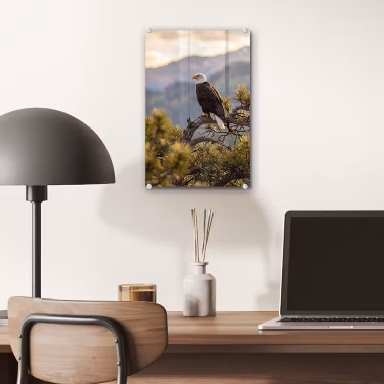 Glas schilderij - Zeearend - Boom - Bergen - Groen — 7