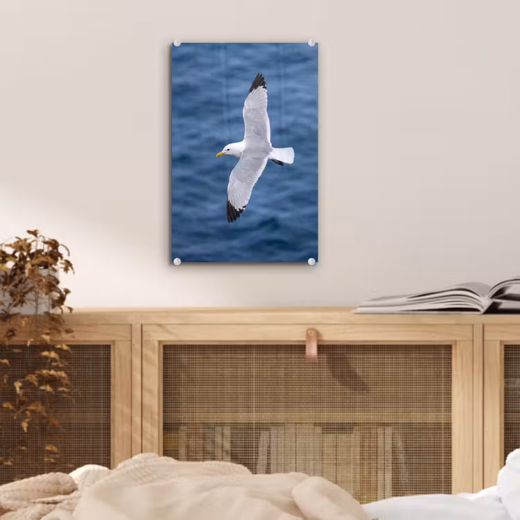 Glas schilderij - Zeemeeuw - Oceaan - Blauw — 5