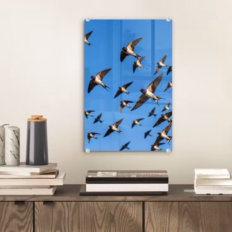 Glas schilderij - Zwaluwen - Vliegen - Blauw — 2