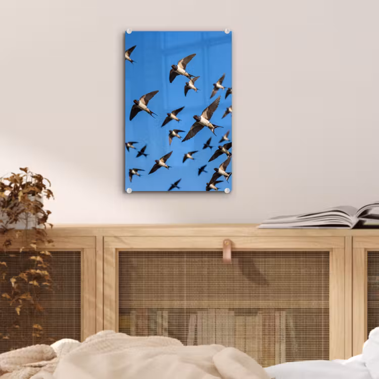 Glas schilderij - Zwaluwen - Vliegen - Blauw — 5
