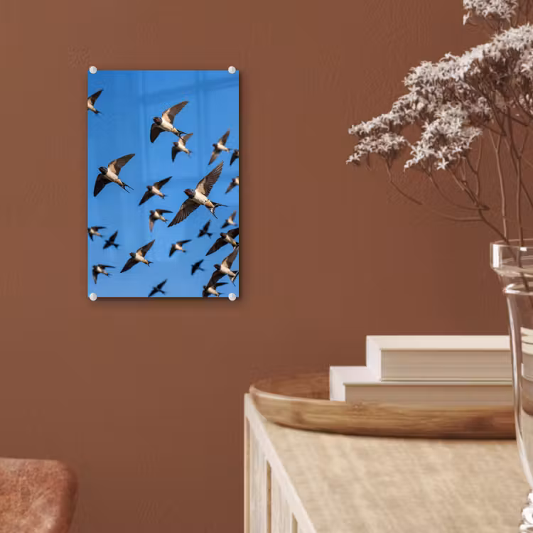 Glas schilderij - Zwaluwen - Vliegen - Blauw — 6