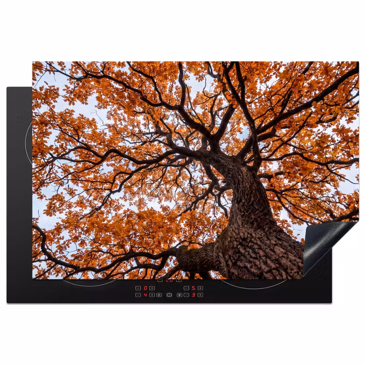 Inductie beschermer - Boom - Bladerdak - Herfst - Oranje - Sfeervol — 2