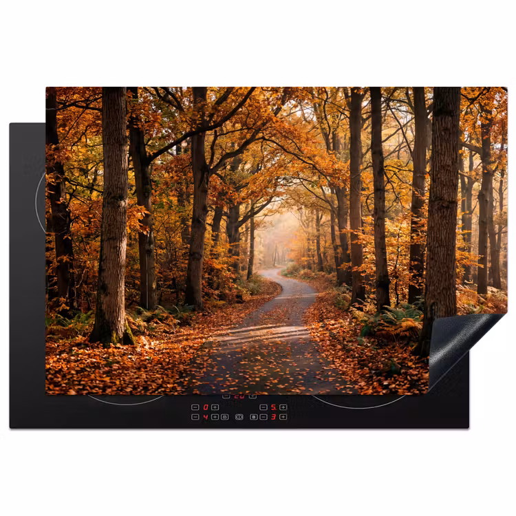 Inductie beschermer - Bospad - Herfstbos - Bladeren - Oranje - Nostalgisch — 2