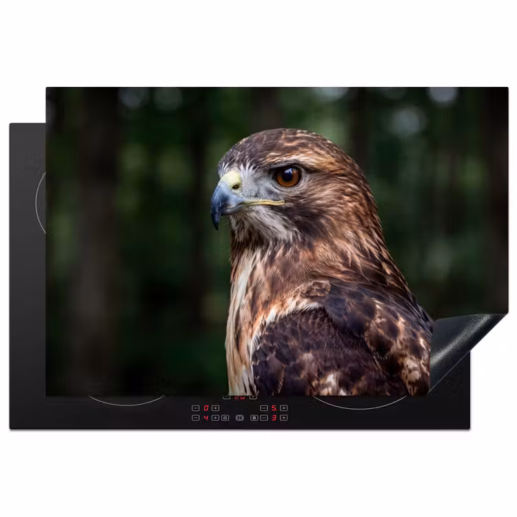 Inductie beschermer - Buizerd - Roofvogel - Natuur - Bruin — 2