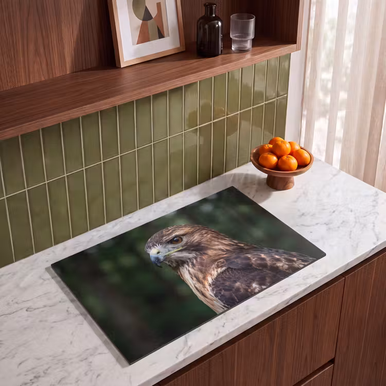 Inductie beschermer - Buizerd - Roofvogel - Natuur - Bruin — 4