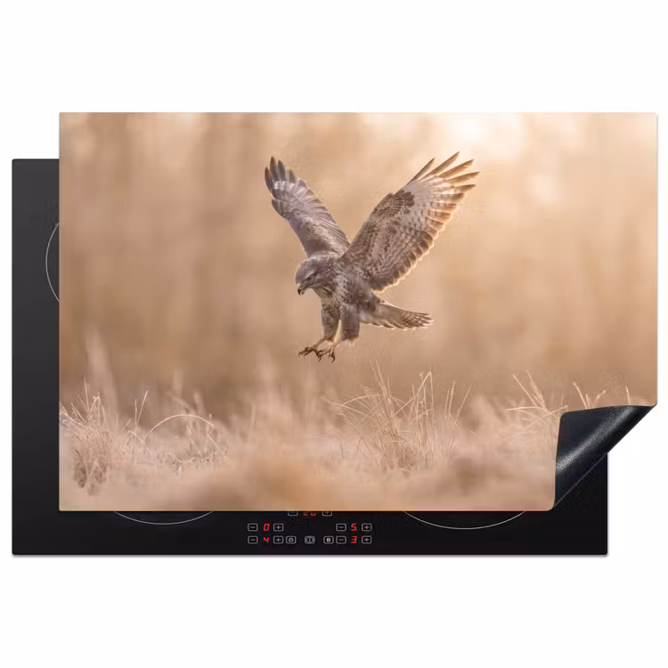 Inductie beschermer - Buizerd - Roofvogel - Natuur - Bruin — 2