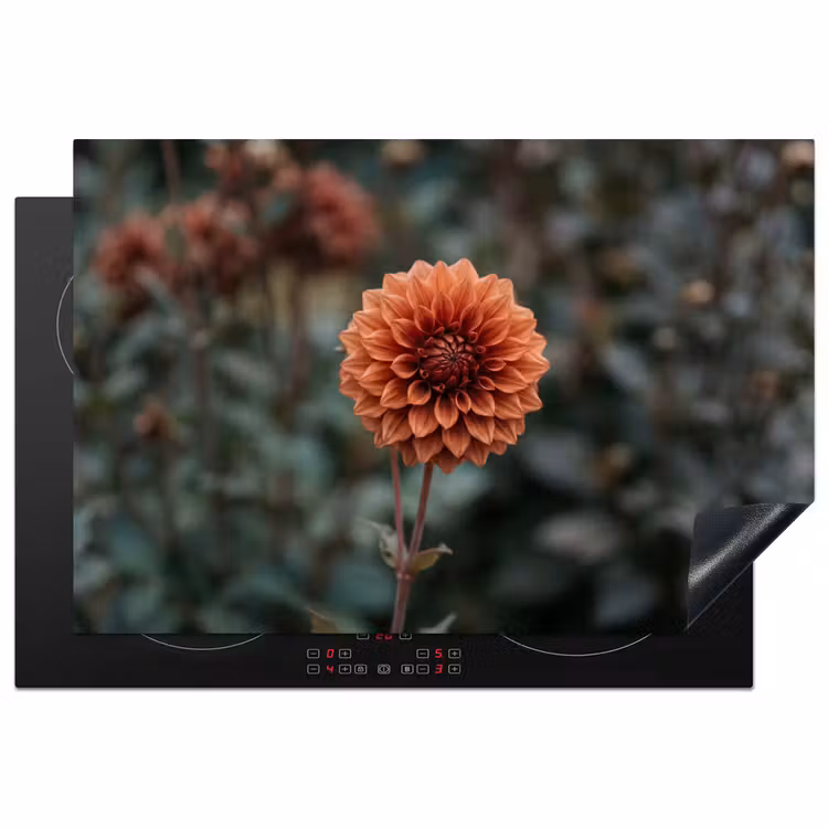 Inductie beschermer - Dahlia - Bloem - Natuur - Sfeervol — 2