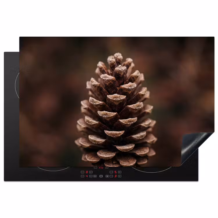 Inductie beschermer - Dennenappel - Bos - Herfst - Bruin - Sfeervol — 2
