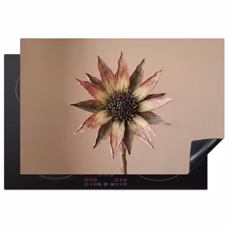 Inductie beschermer - Droogbloem - Protea - Vintage - Beige - Rustiek — 2