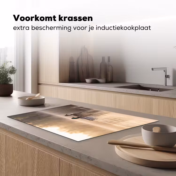 Inductie beschermer - Eenden - Water - Mist - Natuur — 1