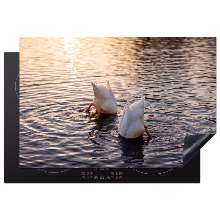 Inductie beschermer - Eenden - Water - Natuur — 2
