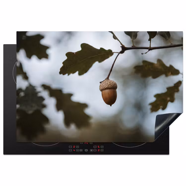 Inductie beschermer - Eikel - Eikenblad - Bos - Herfst - Natuur — 2