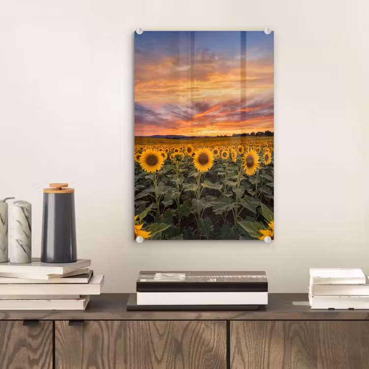 Glas schilderij - Zonnebloemen - Heuvellandschap - Geel — 2