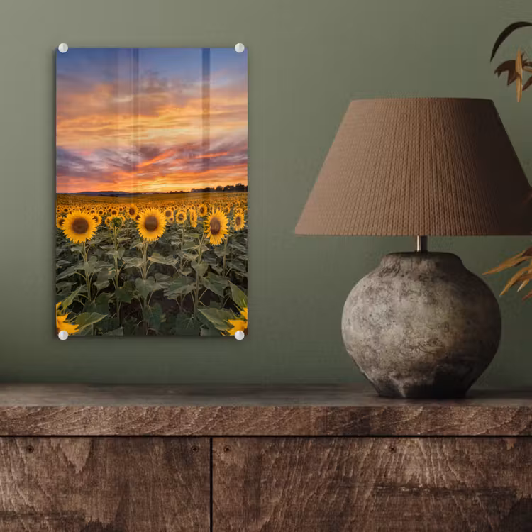 Glas schilderij - Zonnebloemen - Heuvellandschap - Geel — 4