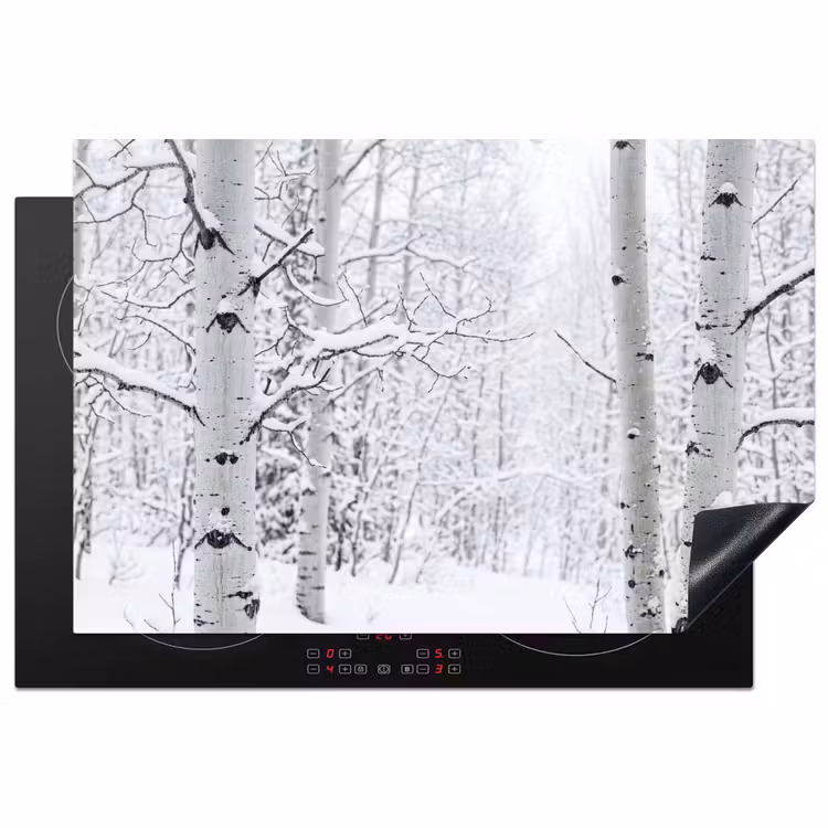 Inductie beschermer - Berkenbomen - Sneeuw - Winter - Bos - Wit — 2
