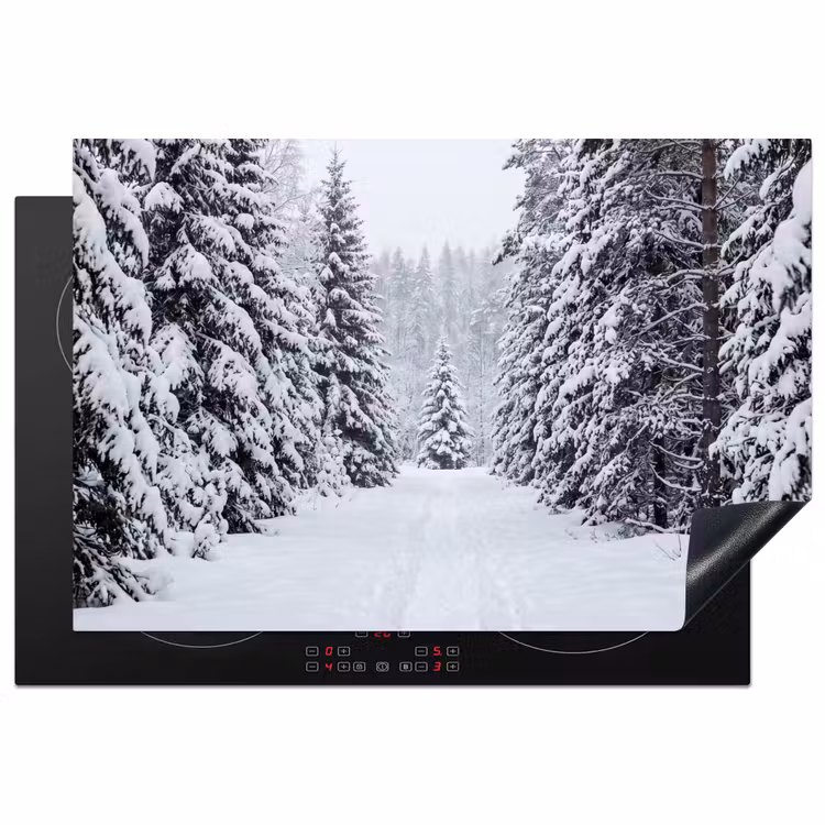 Inductie beschermer - Bos - Winter - Sneeuw - Pad - Natuur — 2