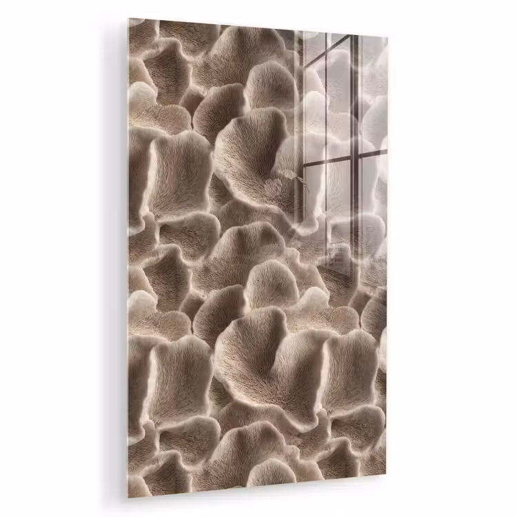 Glas schilderij - Waaiervorm - Beige - Vezel textuur — 1