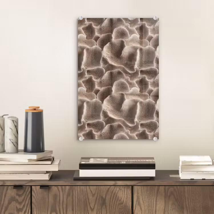 Glas schilderij - Waaiervorm - Beige - Vezel textuur — 2