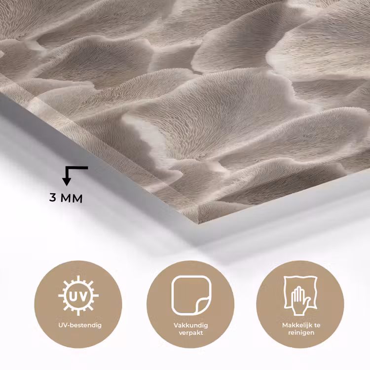 Glas schilderij - Waaiervorm - Beige - Vezel textuur — 3