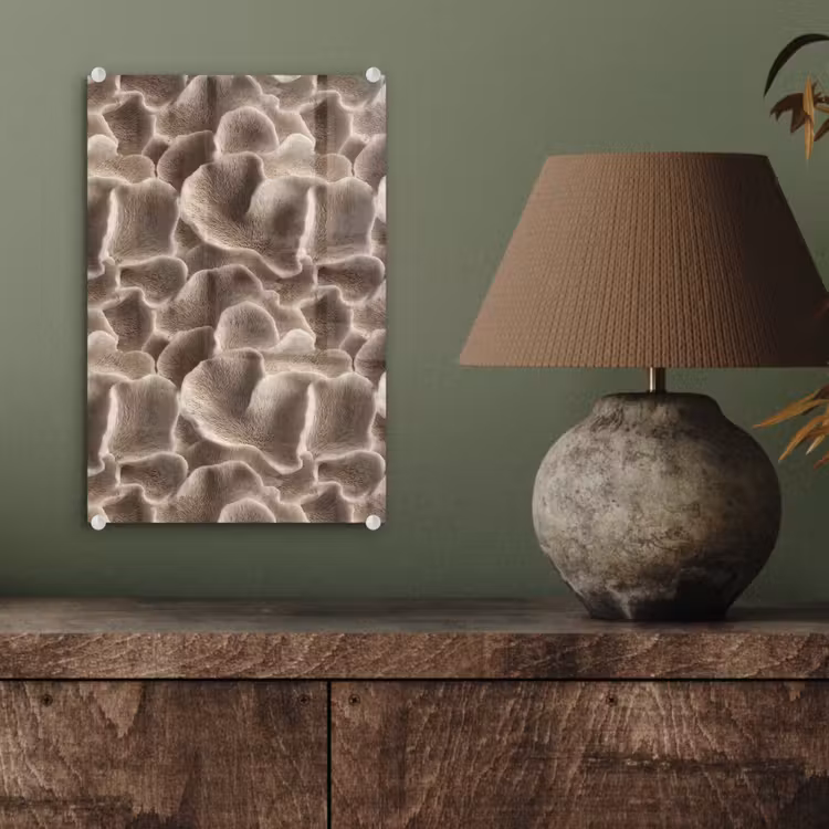 Glas schilderij - Waaiervorm - Beige - Vezel textuur — 4