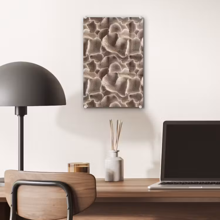 Glas schilderij - Waaiervorm - Beige - Vezel textuur — 7
