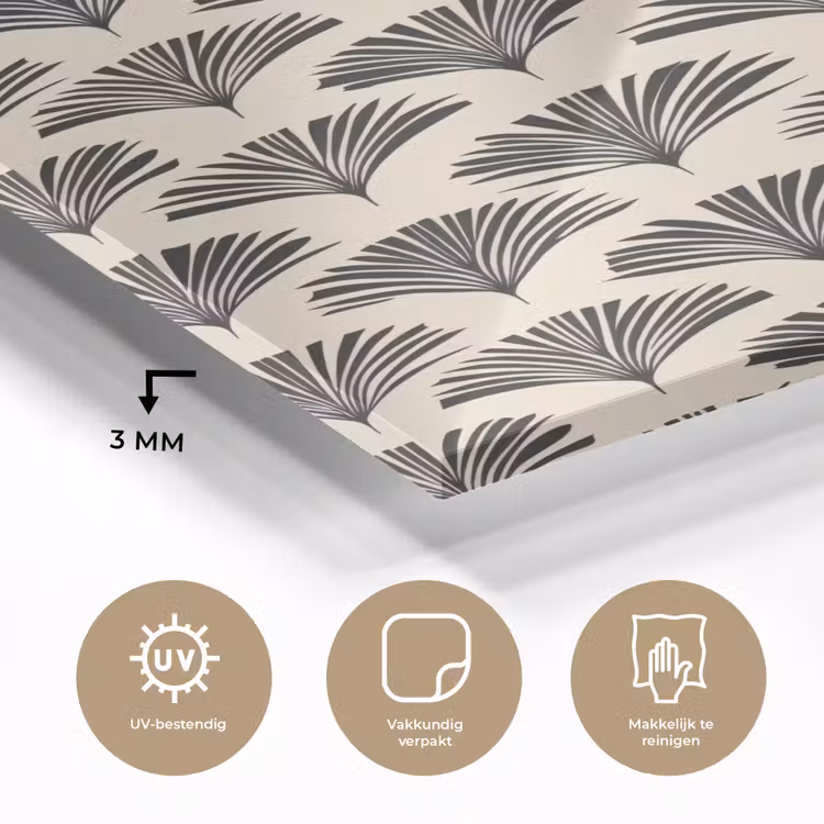 Glas schilderij - Waaiers - Botanisch - Zwart - Beige — 3