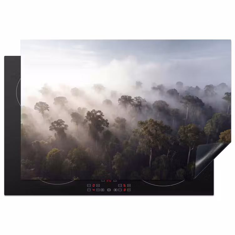 Inductie beschermer - Bos - Mist - Natuur - Groen — 1