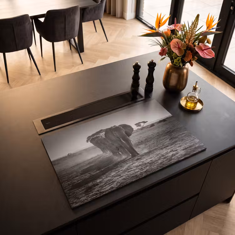 Inductie beschermer - Karavaan van de Oude Reuzen — 3