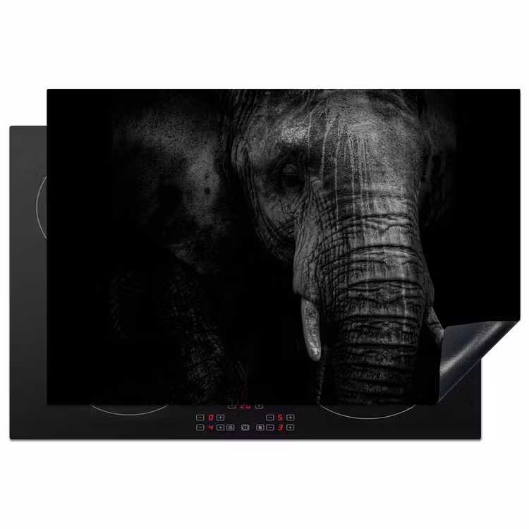 Inductie beschermer - Olifant - Dier - Portret — 2