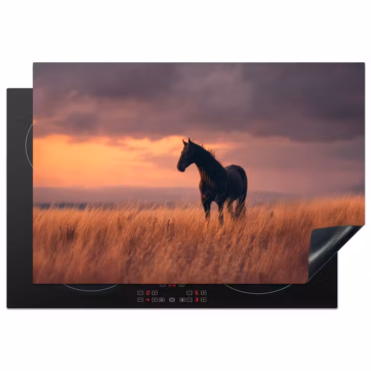 Inductie beschermer - Paard - Wolken - Open veld — 1
