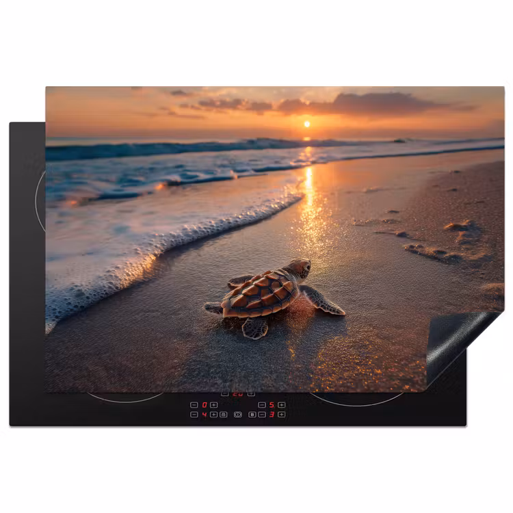 Inductie beschermer - Schildpad - strand - Zonsondergang — 2
