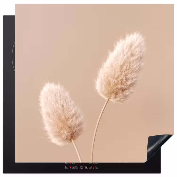 Inductie beschermer - Pampas pluimen - Beige - Planten — 2
