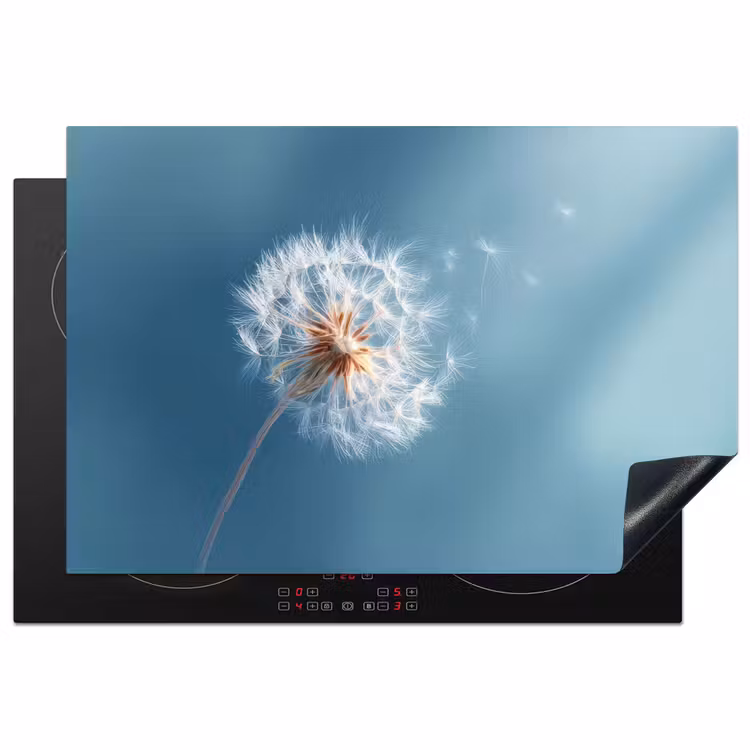 Inductie beschermer - Paardenbloem - Wind - Blauw — 1