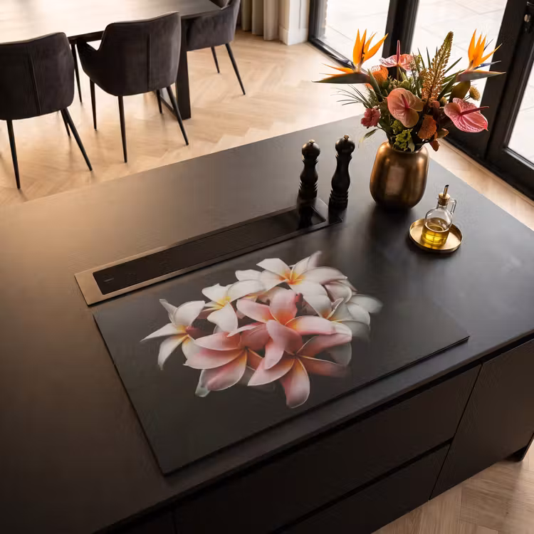 Inductie beschermer - Schakeringen van Sereniteit — 3