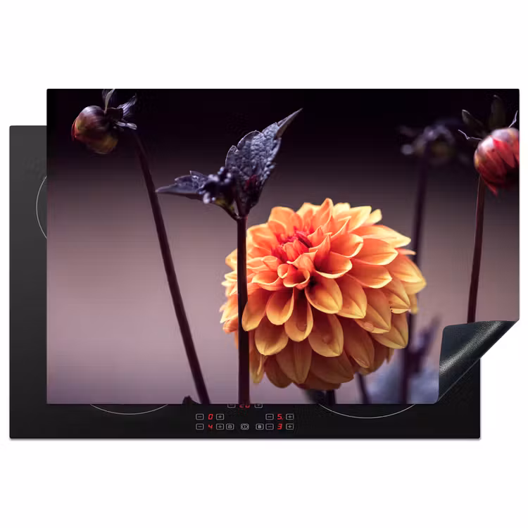 Inductie beschermer - Herfstgloed in Bloei — 2
