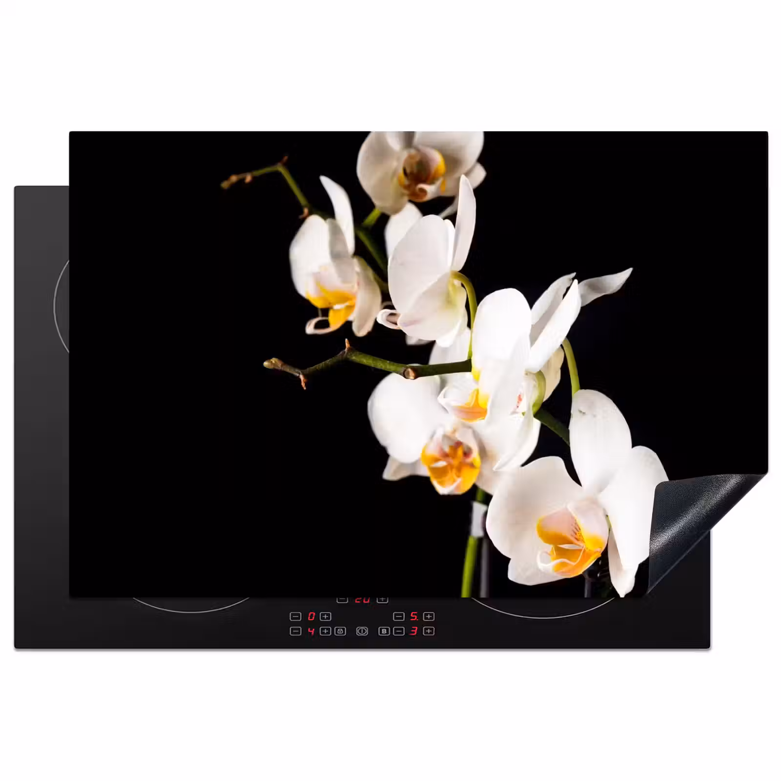 Inductie beschermer - Hemelse Orchideeëntak — 1