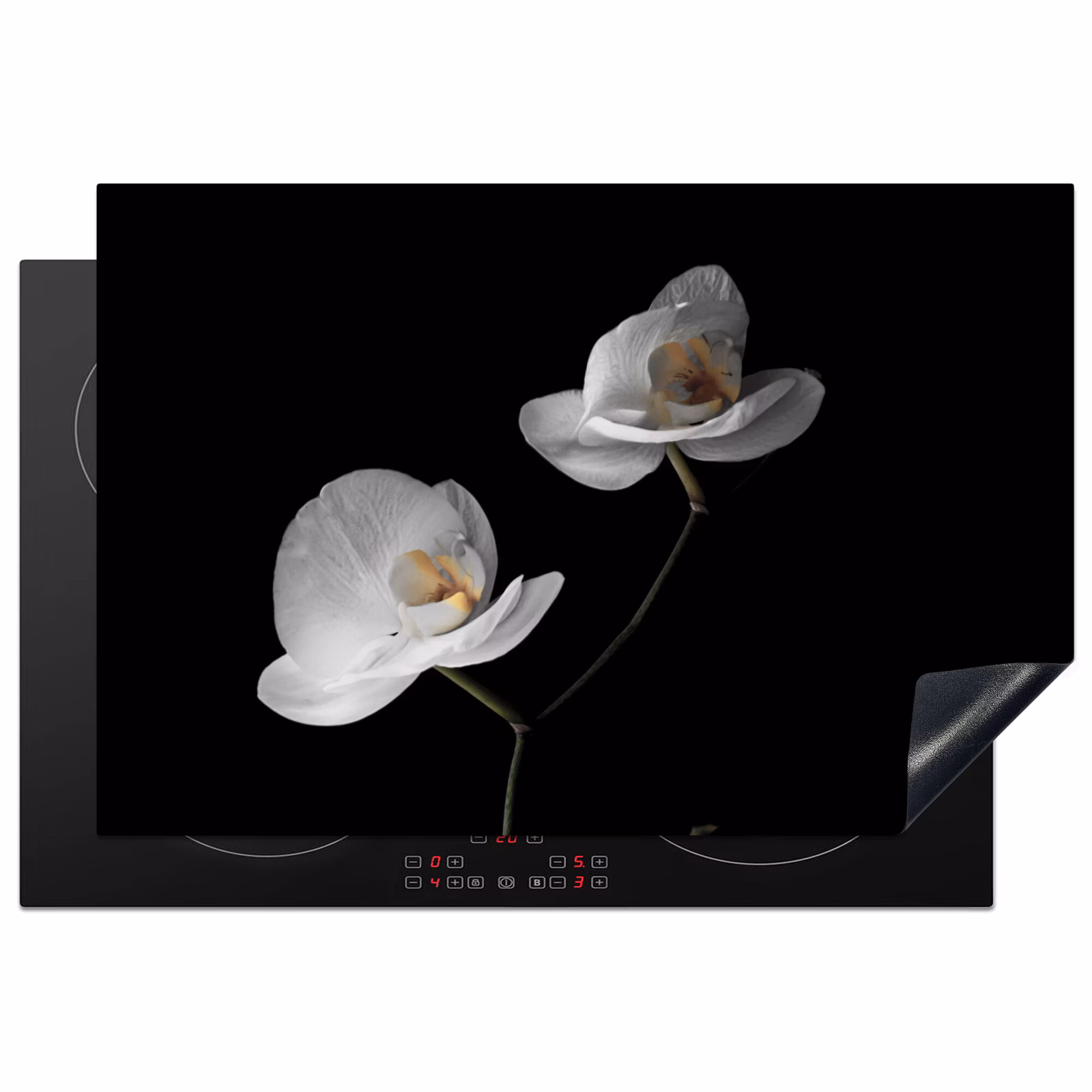 Inductie beschermer - Nachtelijke Orchidee Elegance — 1