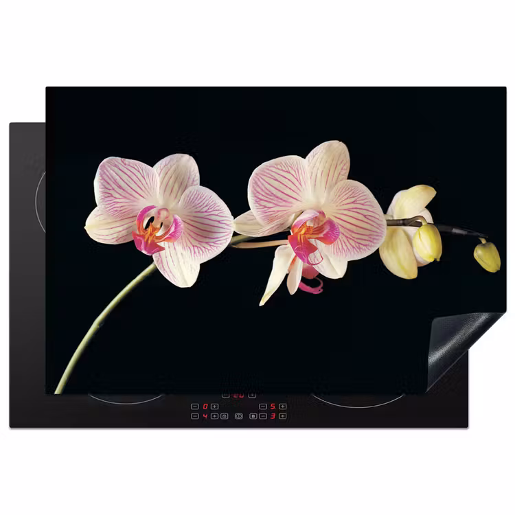 Inductie beschermer - Getekende Schoonheid van Orchideeën — 1