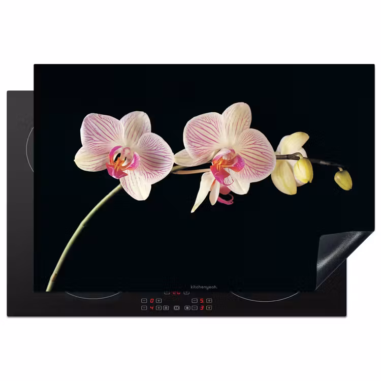 Inductie beschermer - Orchidee - Roze - Bloemen — 2